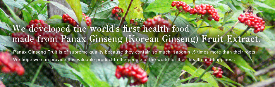 We developed the world's first health food made from Panax Ginseng (Korean Ginseng) Fruit Extract.