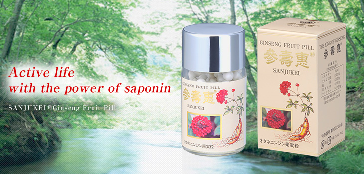 SANJUKEI®Ginseng Fruit Pill