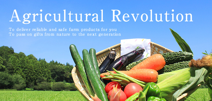 Agricultural Revolution