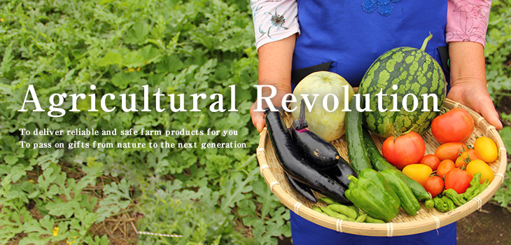 Agricultural Revolution