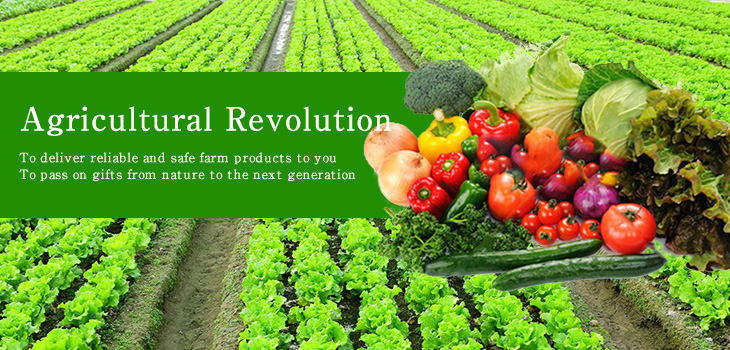 Agricultural Revolution