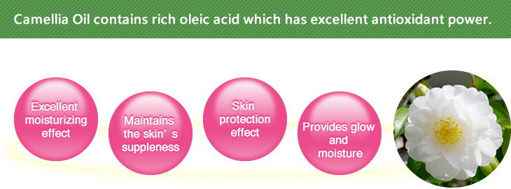 Camellia Oil contains rich oleic acid which has excellent antioxidant power.